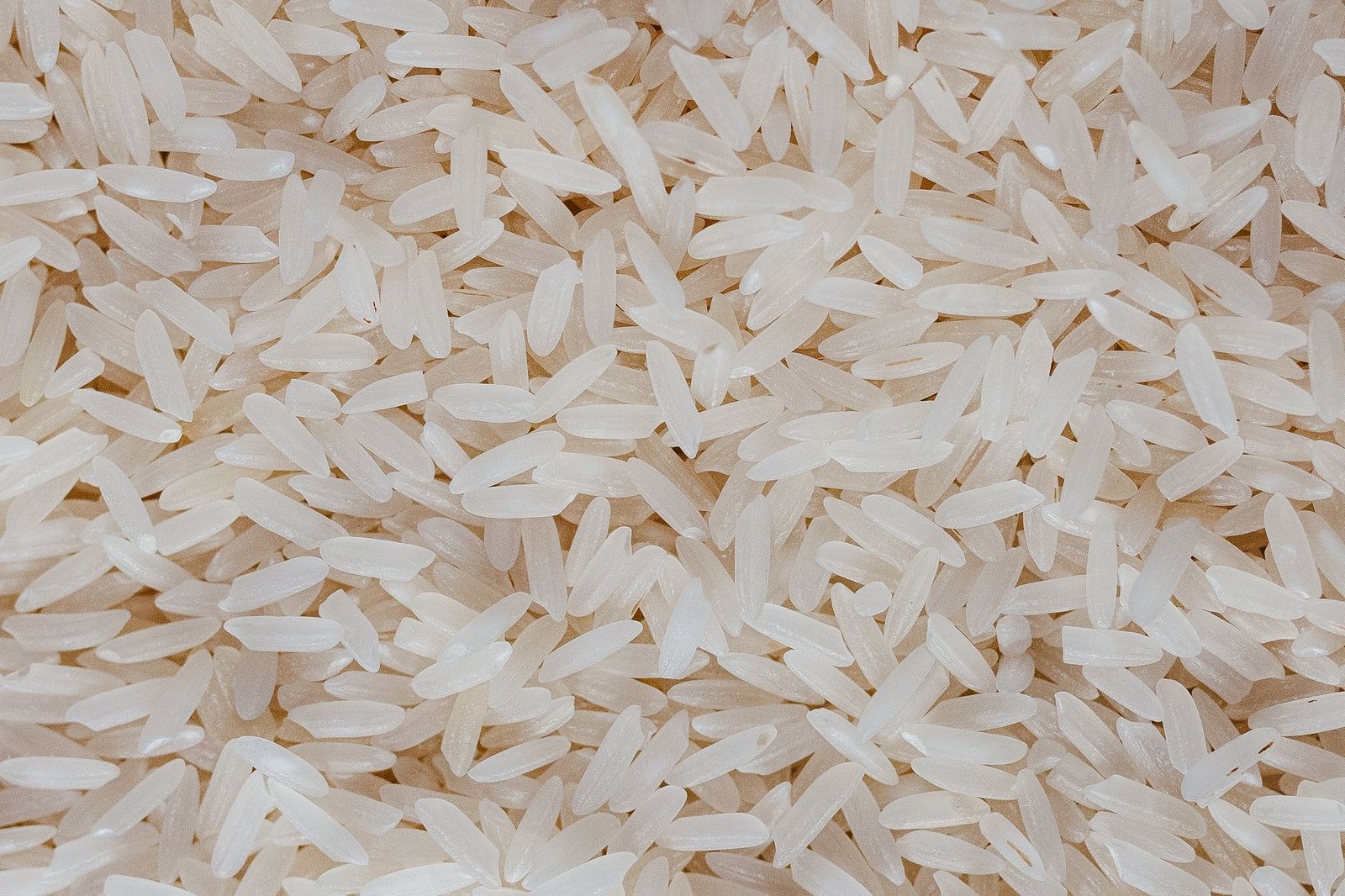 Basmati rice launch