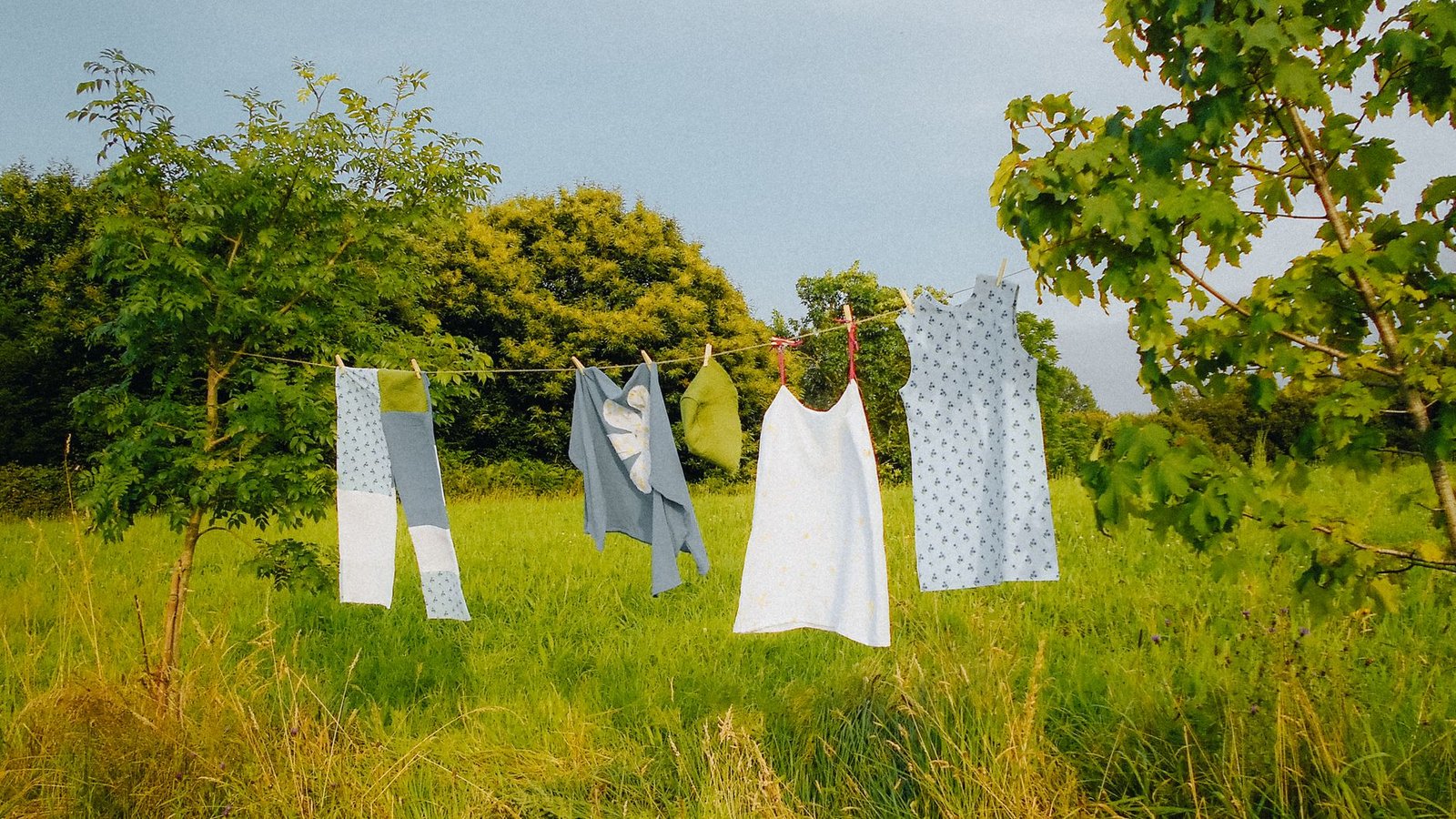 Sophia Lewis Fashion Label: The Best New Trend to Watch